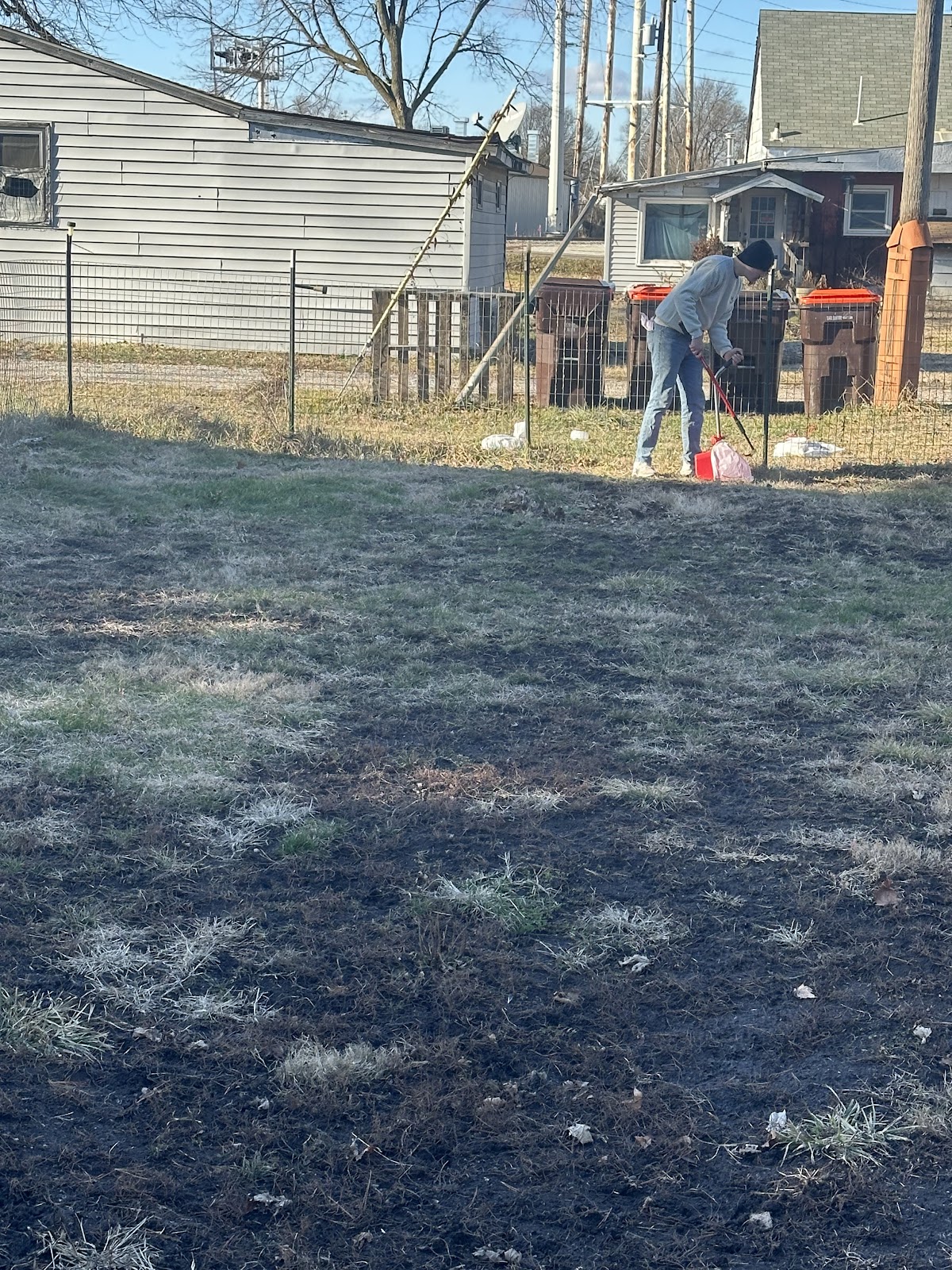 Dirty Dawgs – Pooper Scooper & Dog Poop Removal - Photo 4