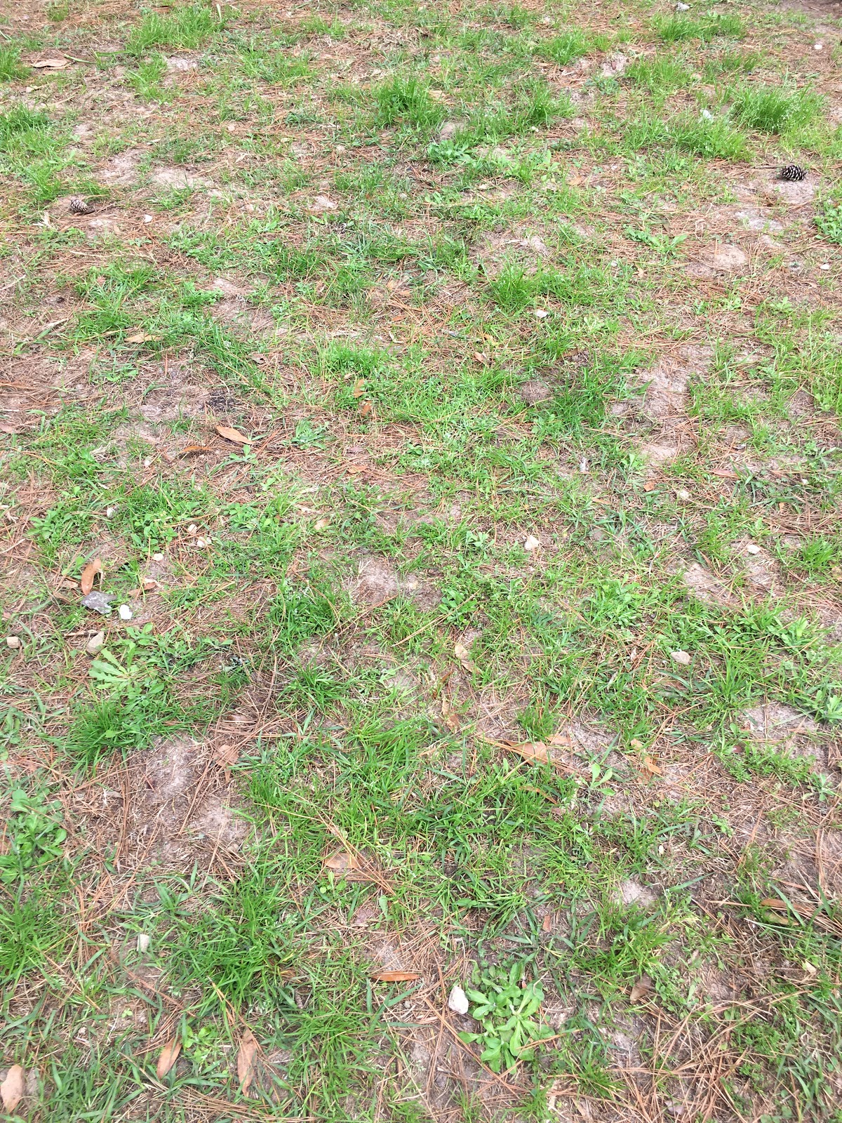 Polecat Pet Waste Removal - Photo 2