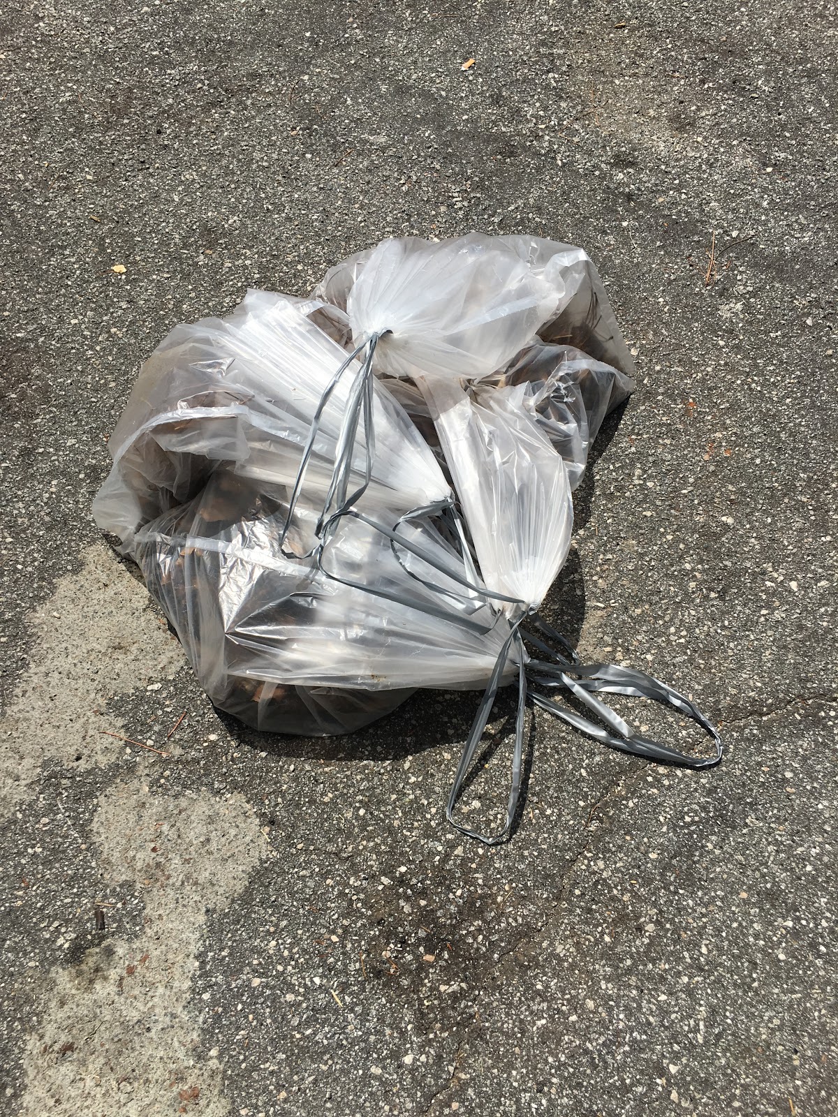 Polecat Pet Waste Removal - Photo 4