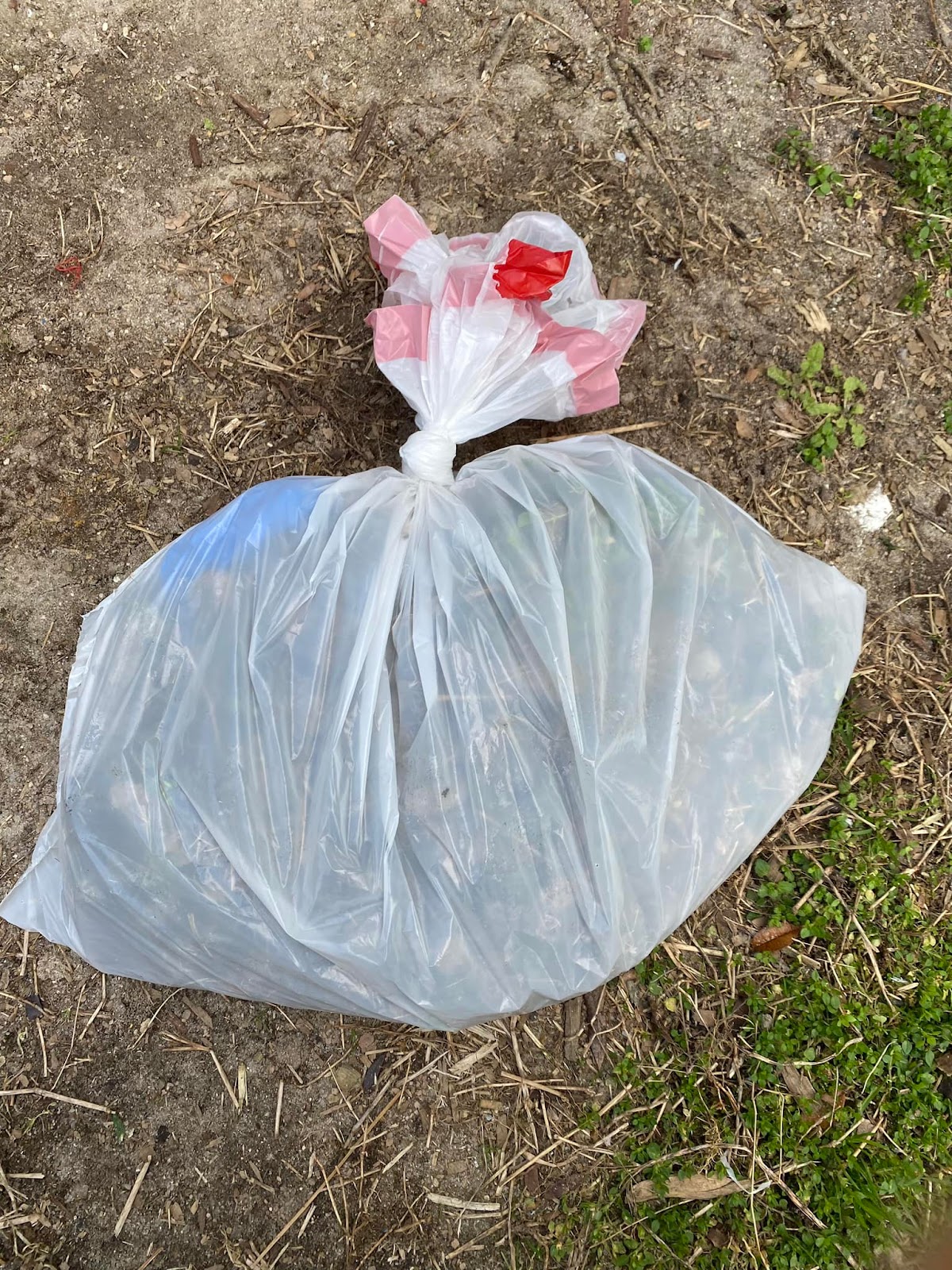 Mutty Acres Scoops - Photo 2