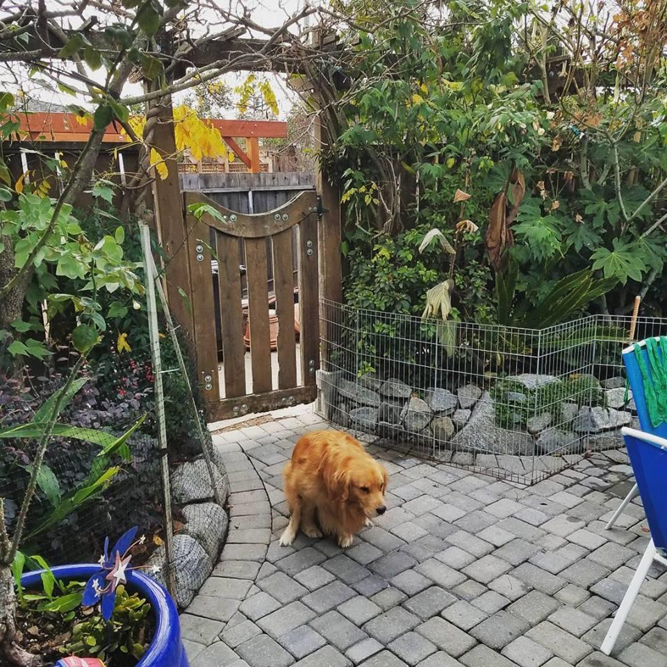 Poop Patrol RWC INC. - Photo 2