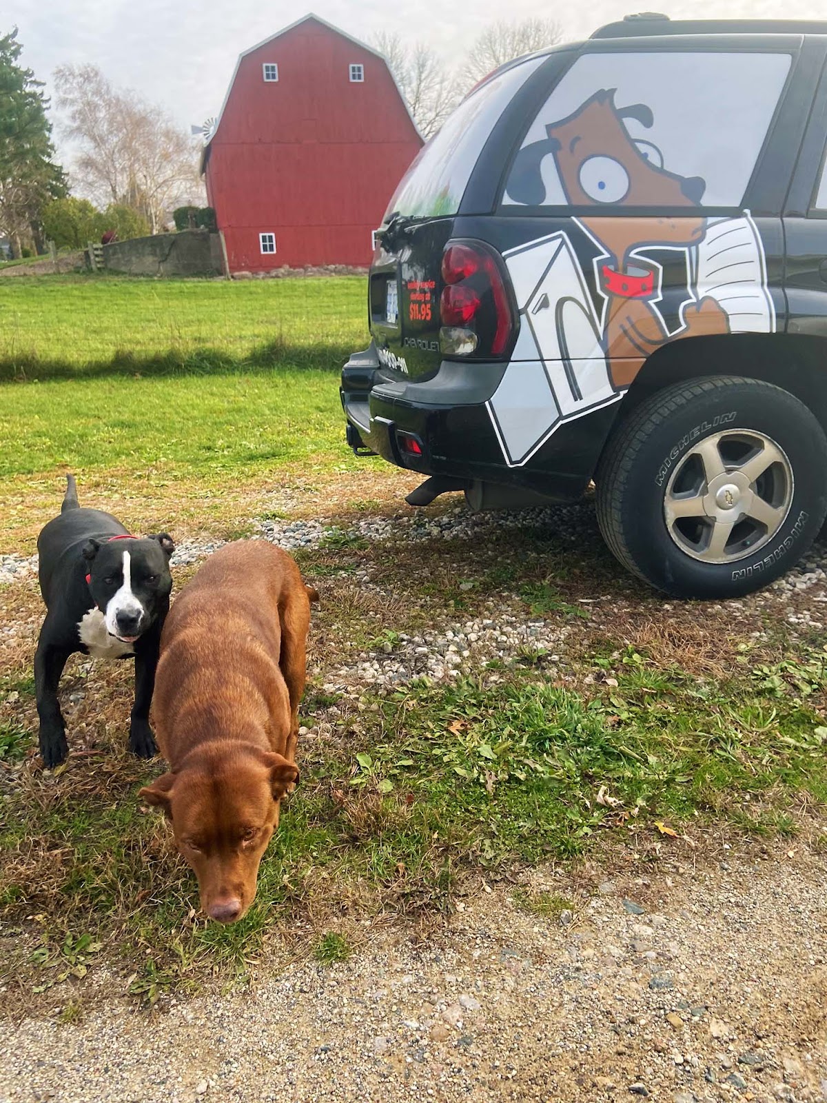 POOP 911 Greater Lansing - Photo 4