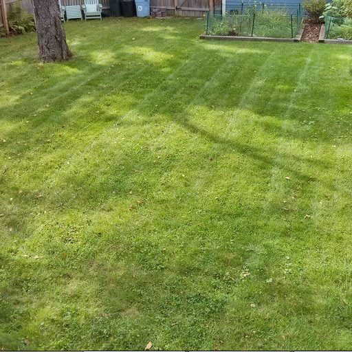 Poop Bandits - Photo 2