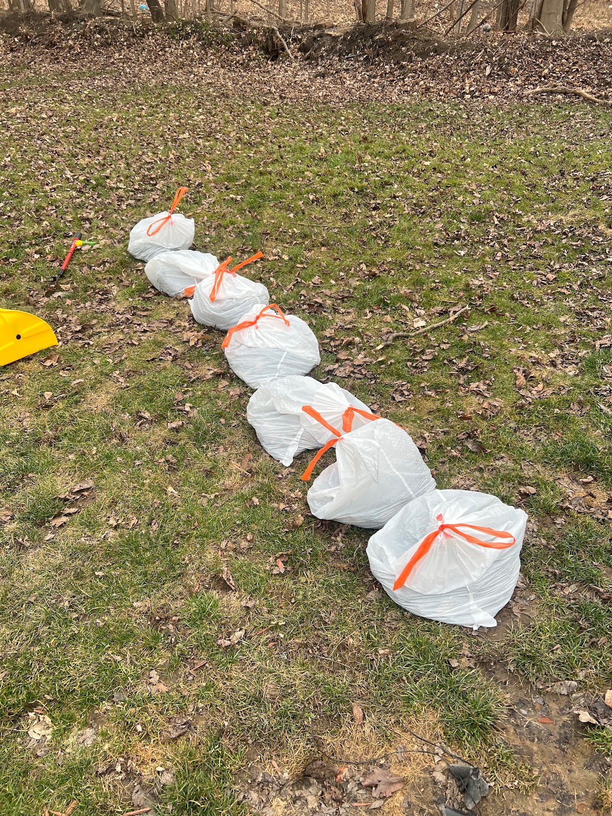 Dog Doody Patrol - Photo 4