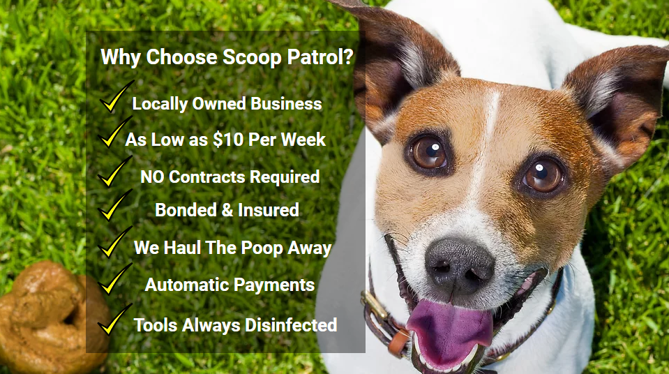 Next Cut Lawn Care and Scoop Patrol Pet Waste Removal