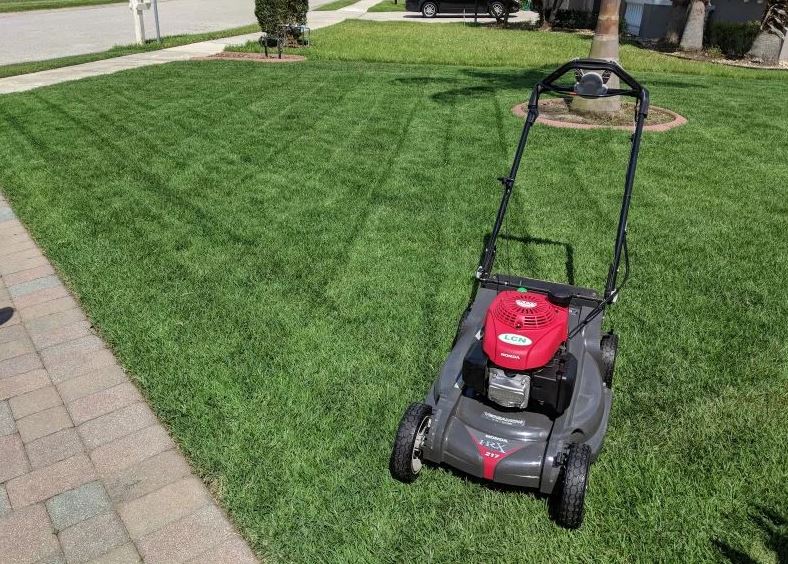 Next Cut Lawn Care and Scoop Patrol Pet Waste Removal - Photo 4