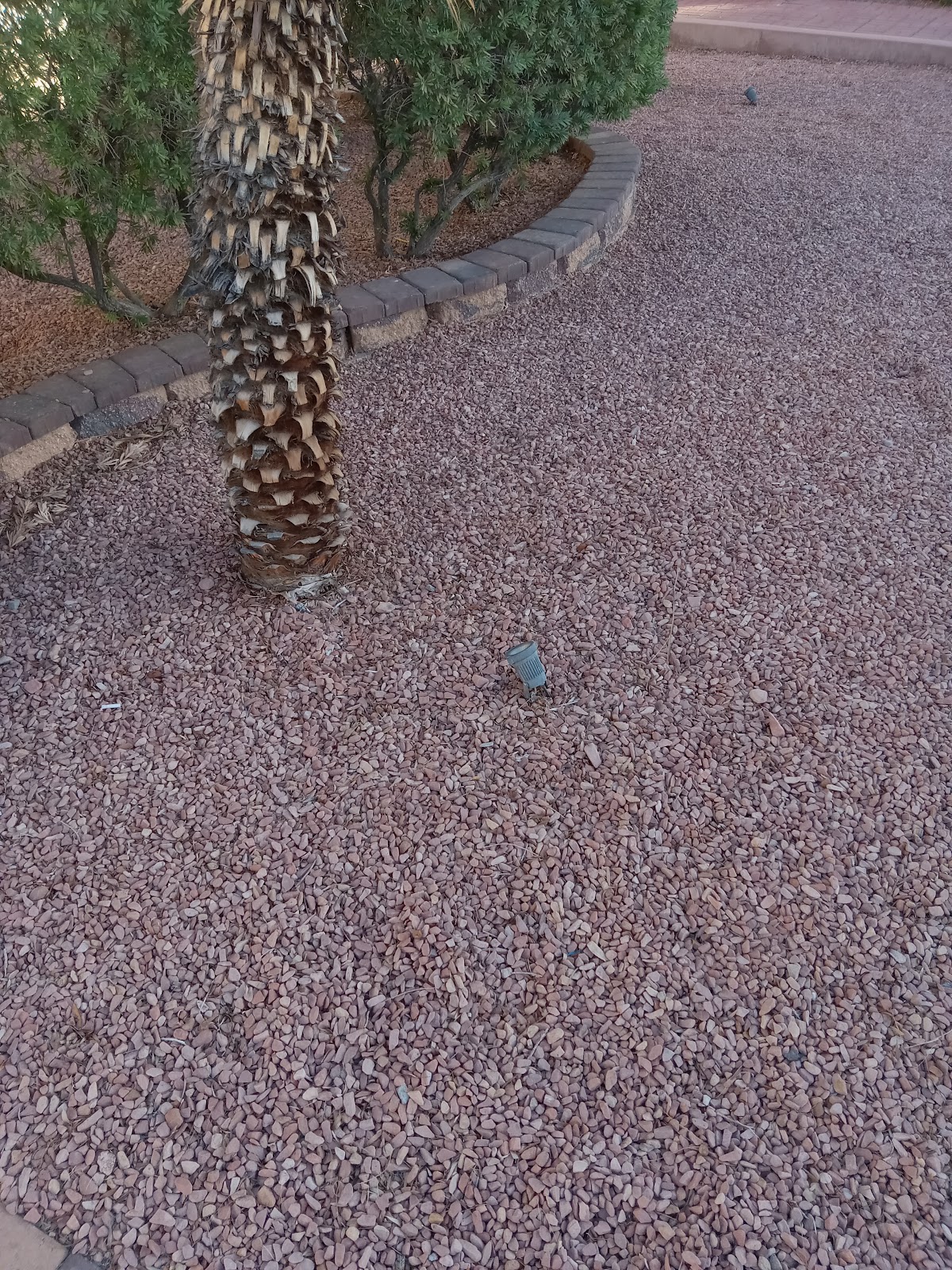 Pooper Scooper Vegas