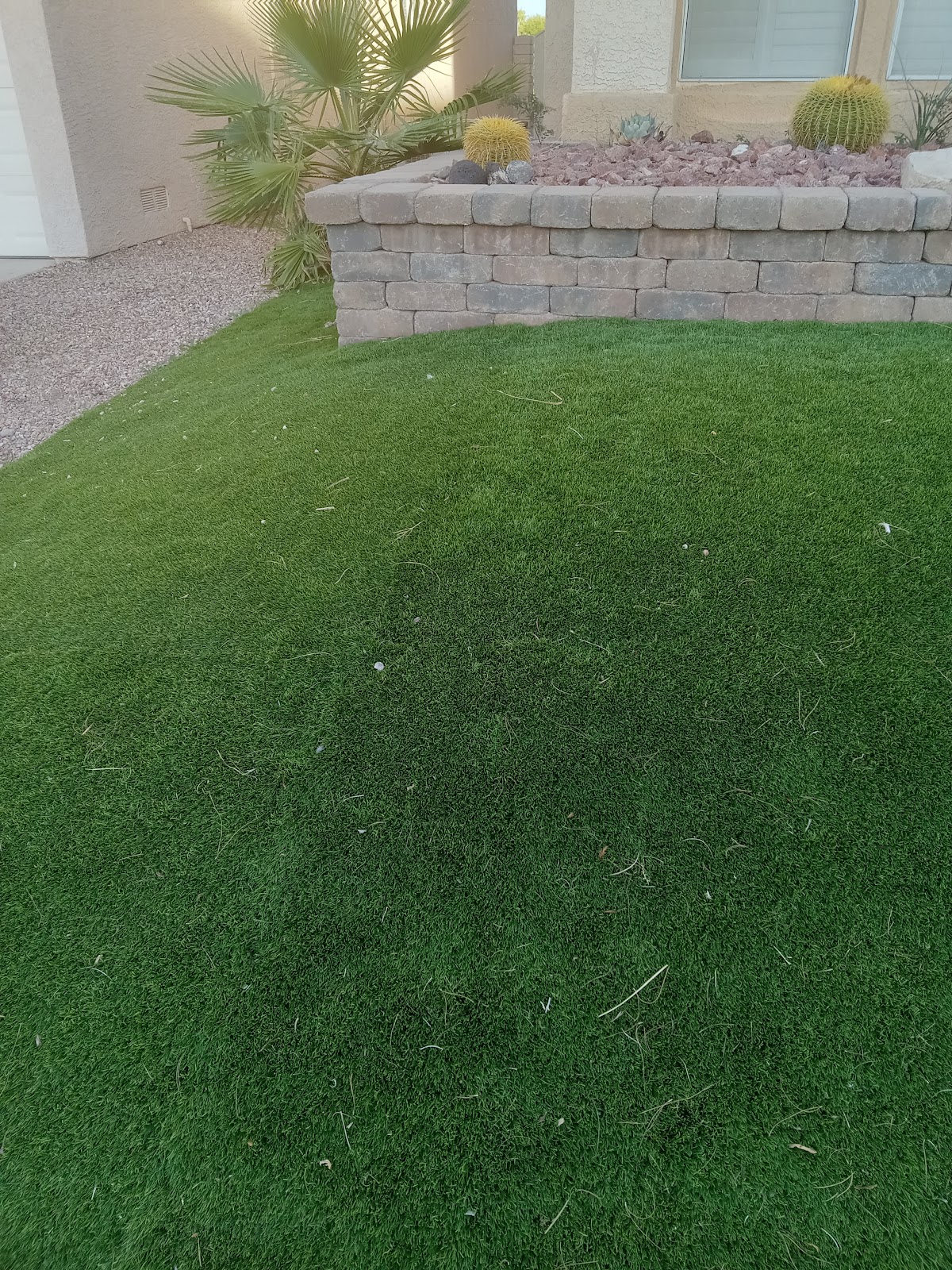 Pooper Scooper Vegas - Photo 2