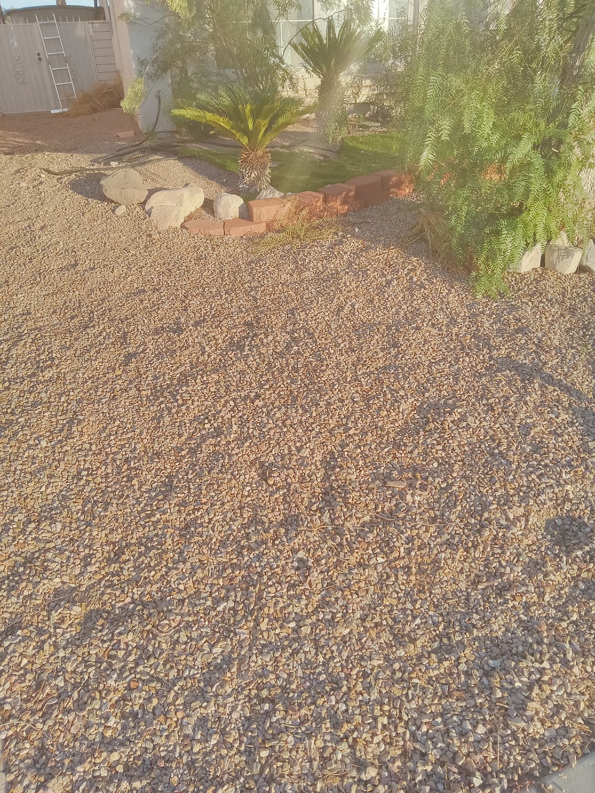 Pooper Scooper Vegas - Photo 3