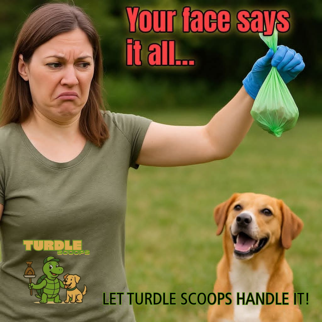 Turdle Scoops