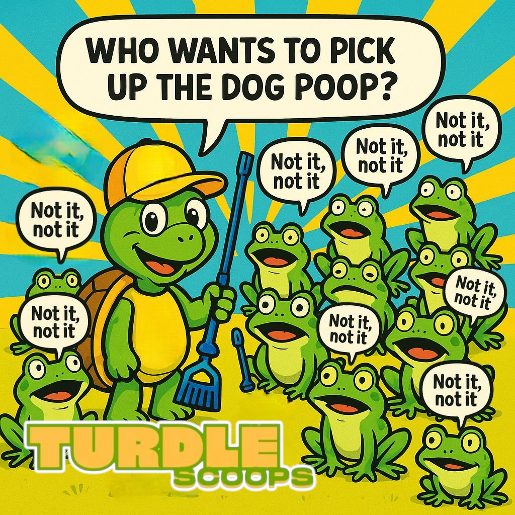 Turdle Scoops - Photo 4