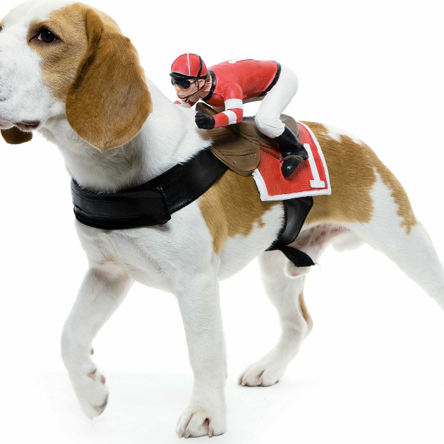 Doody Blues Pet Waste Management