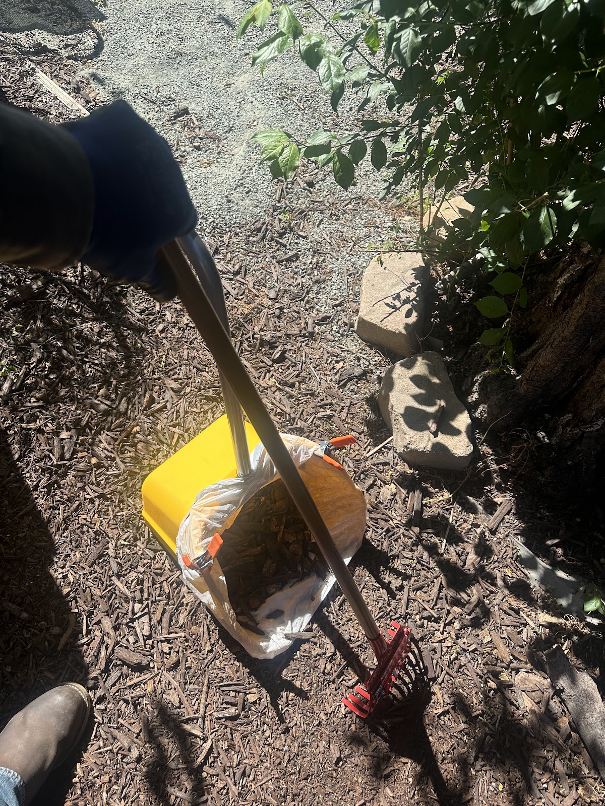 Scoop Dogg - Pet Waste Removal - Photo 2