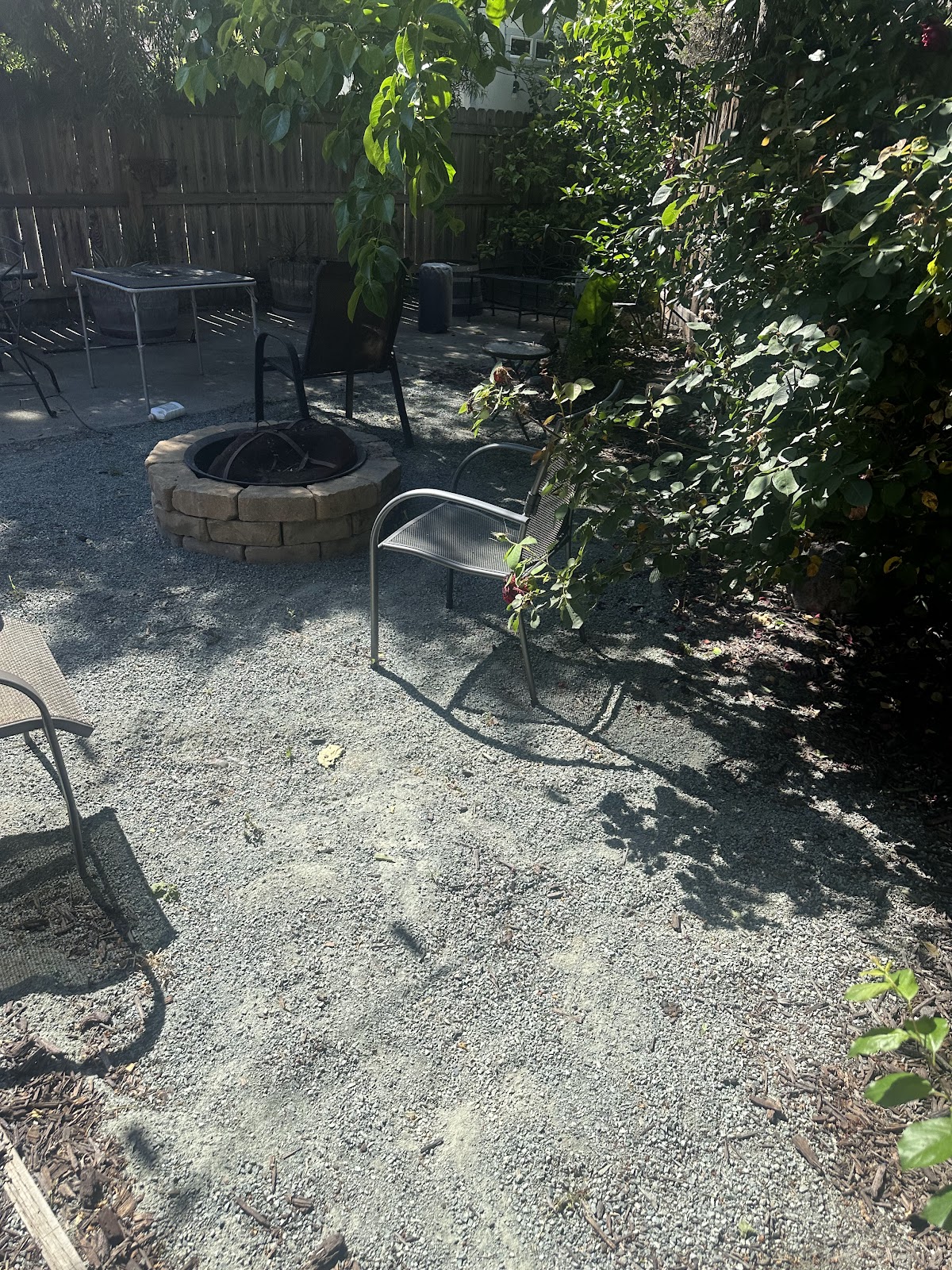 Scoop Dogg - Pet Waste Removal - Photo 3