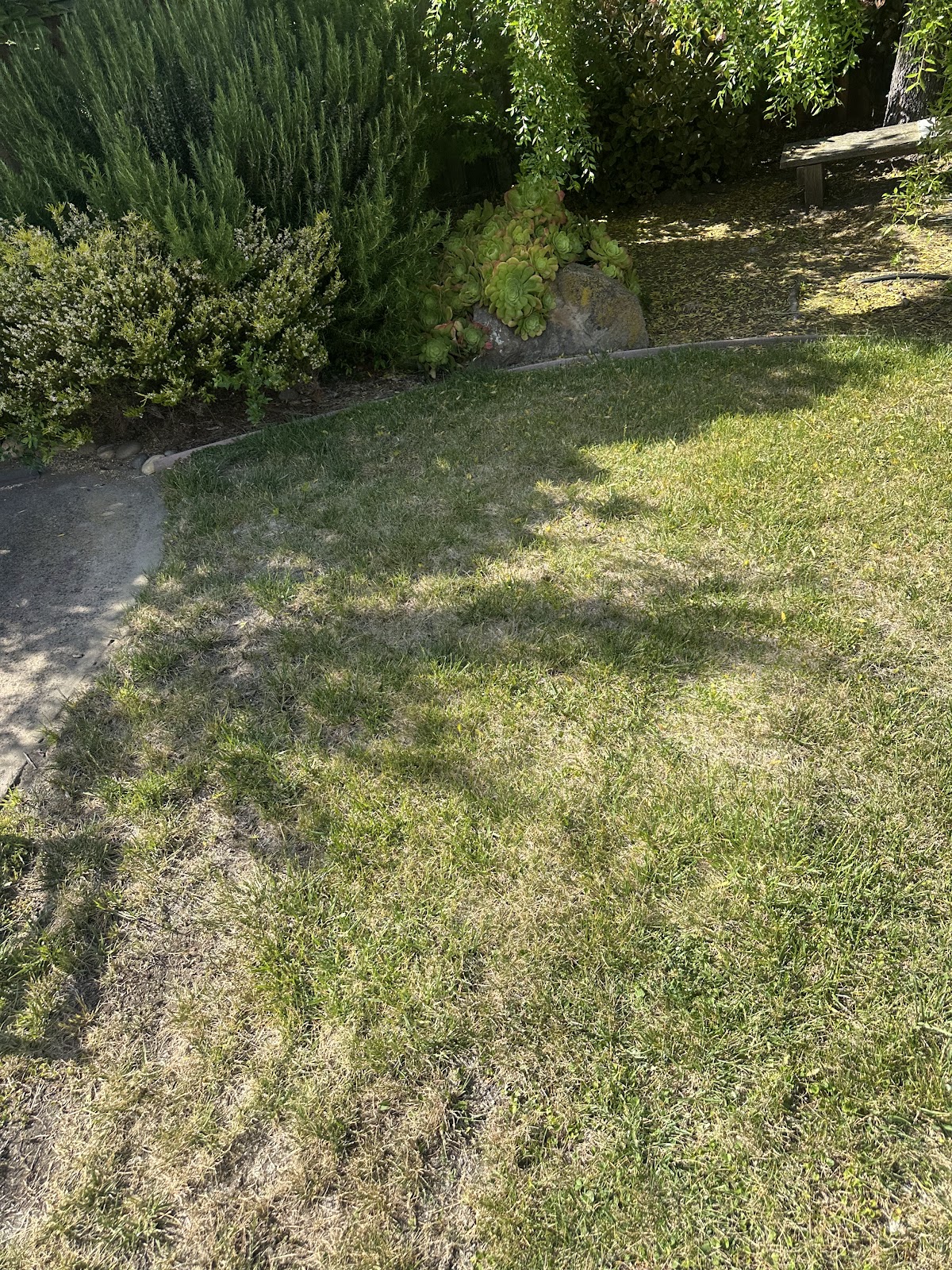 Scoop Dogg - Pet Waste Removal - Photo 4