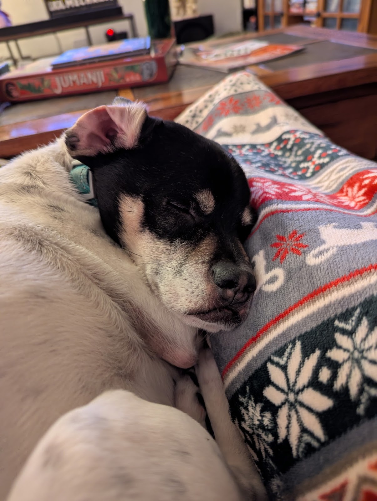 Puppy Pooper Pick Up - Photo 4