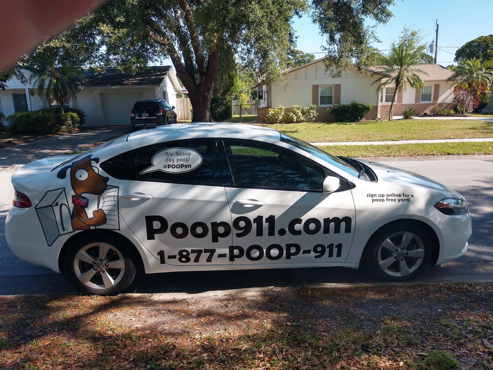 POOP 911 Suncoast - Photo 2