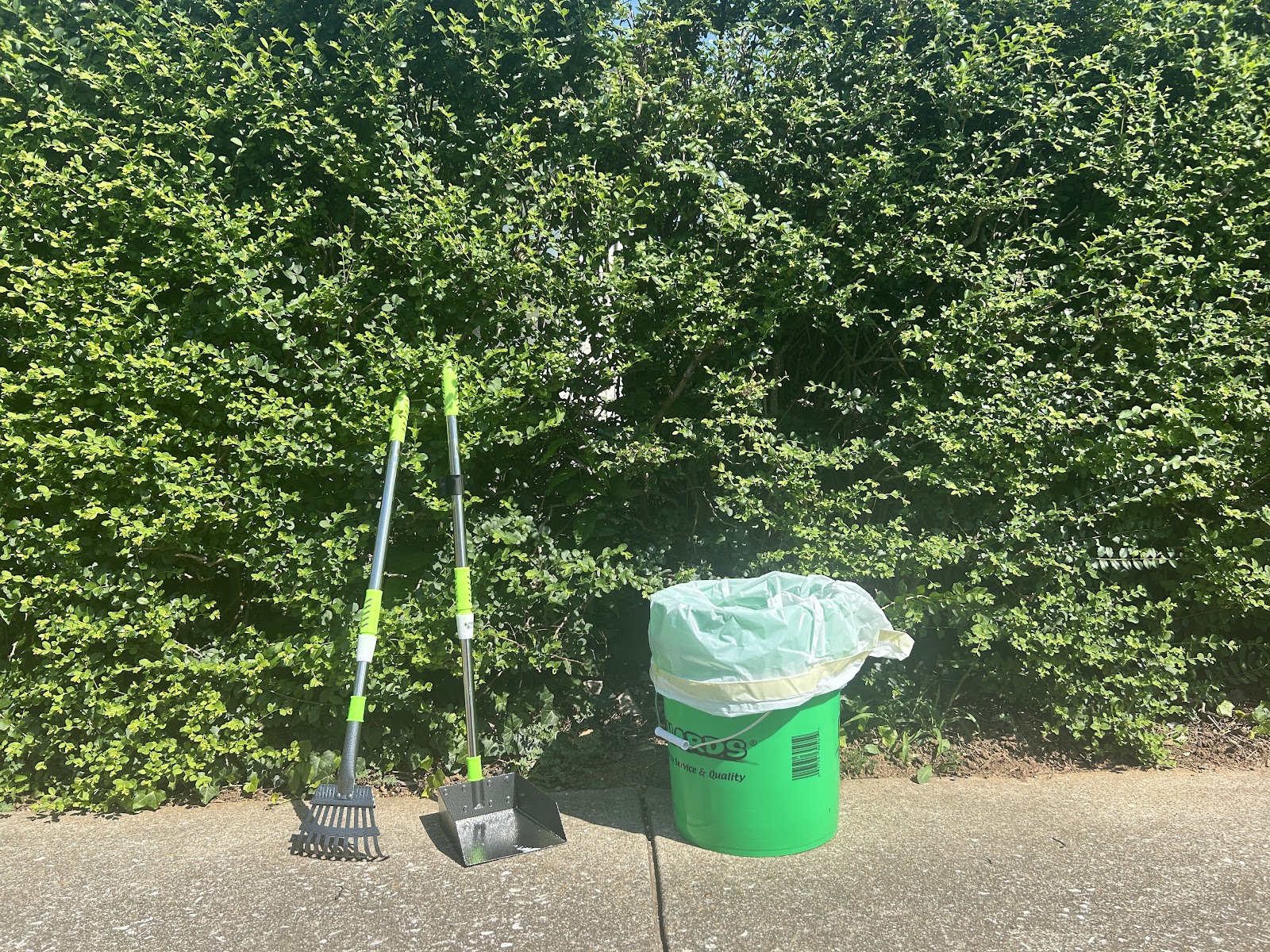 Phantom Scoops - Photo 2