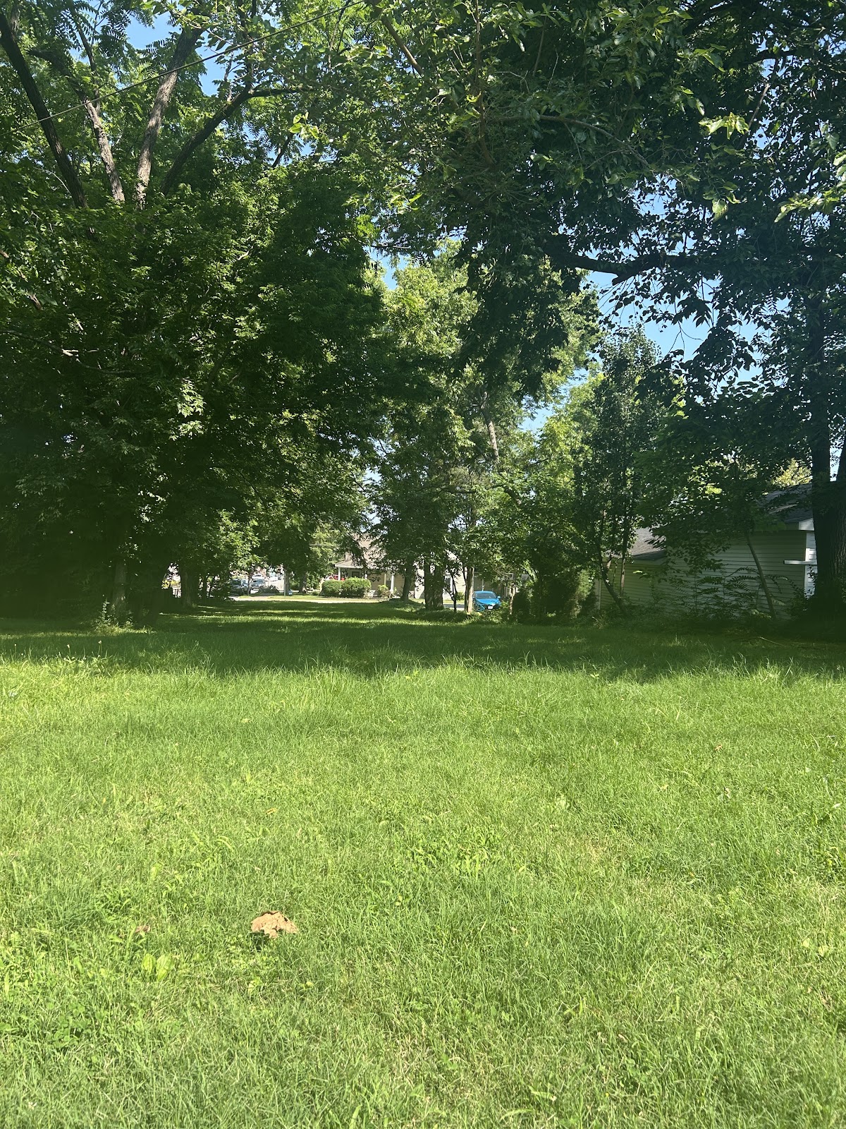 Phantom Scoops - Photo 3