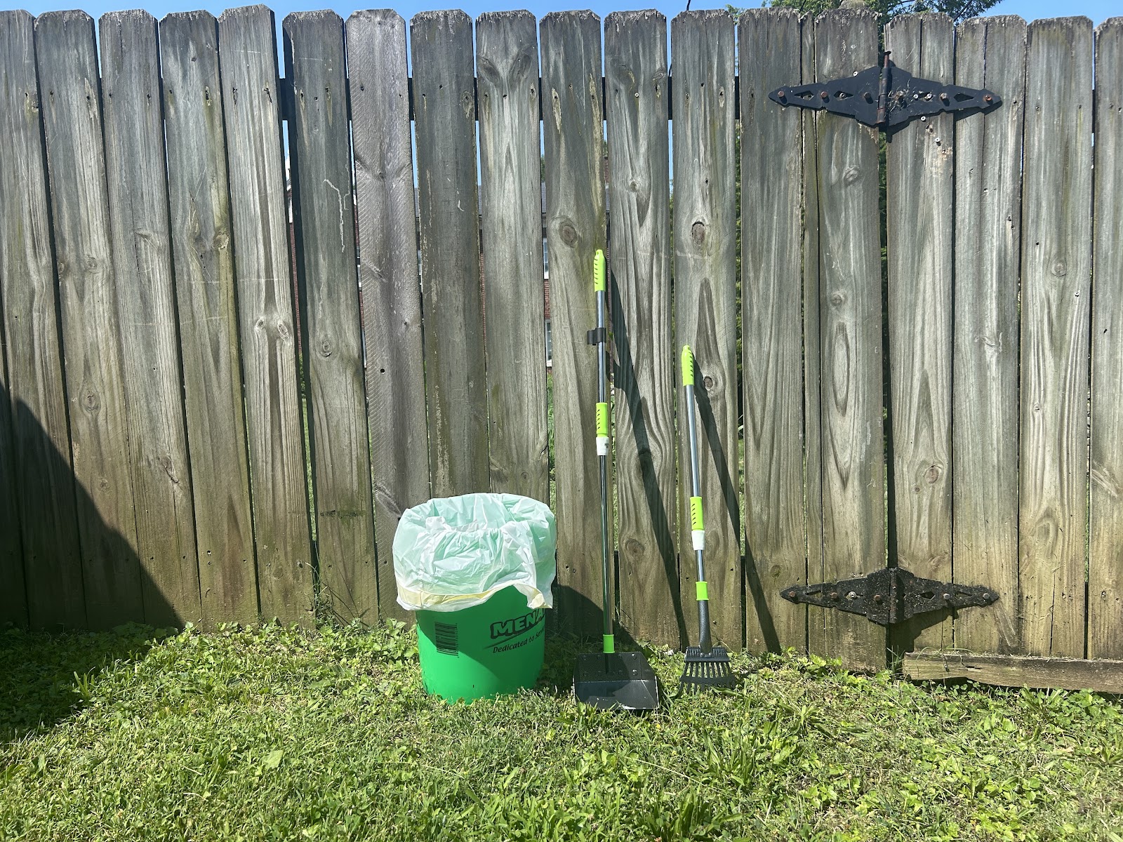 Phantom Scoops - Photo 4