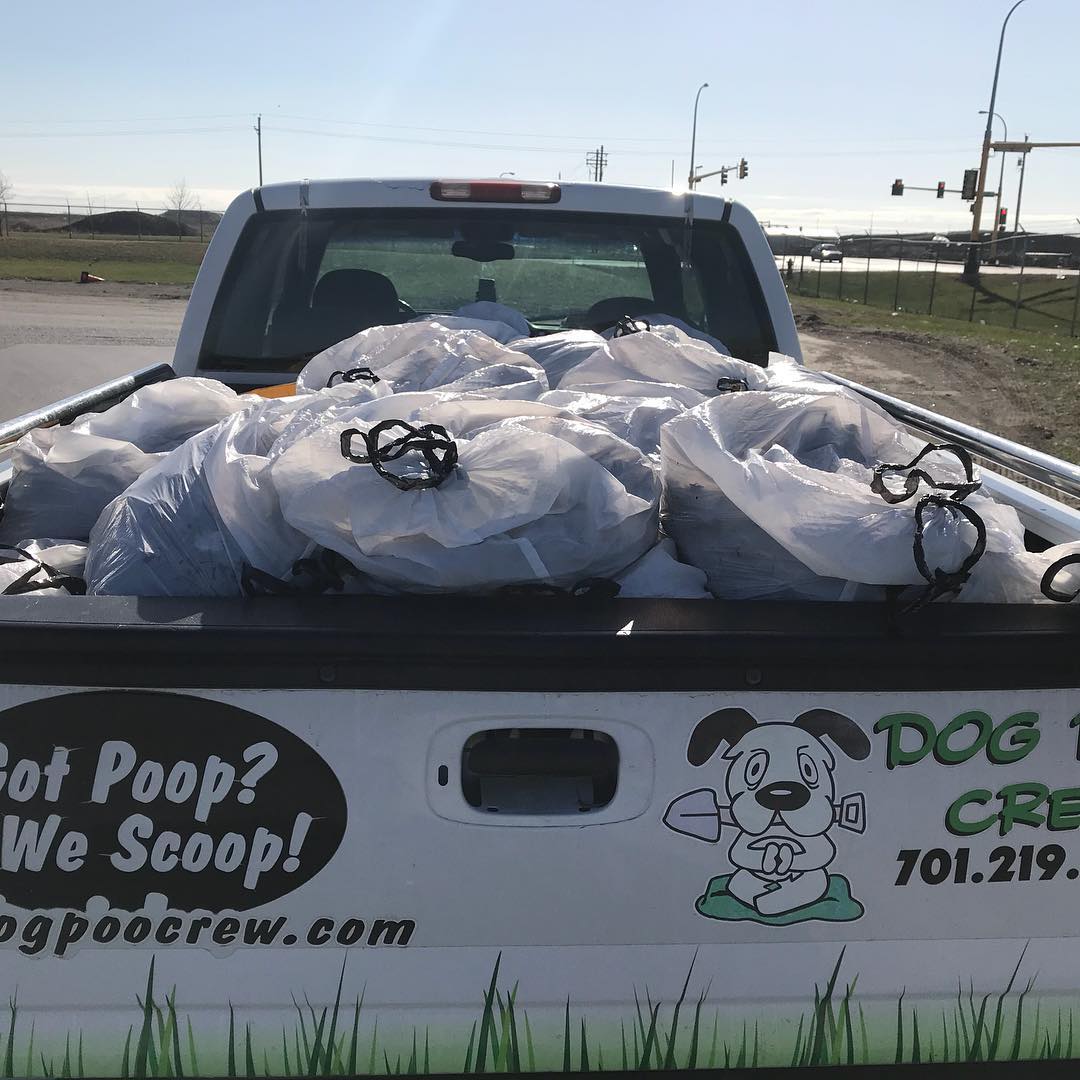 Dog Poo Crew - Photo 2