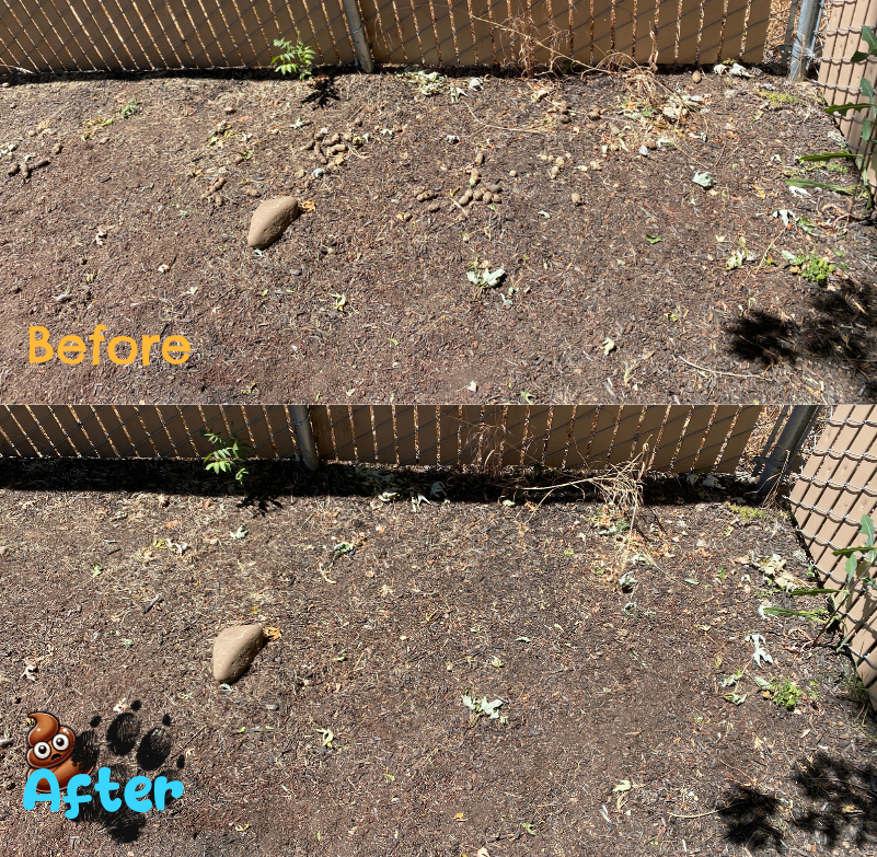 Doody Snatchers - Photo 3