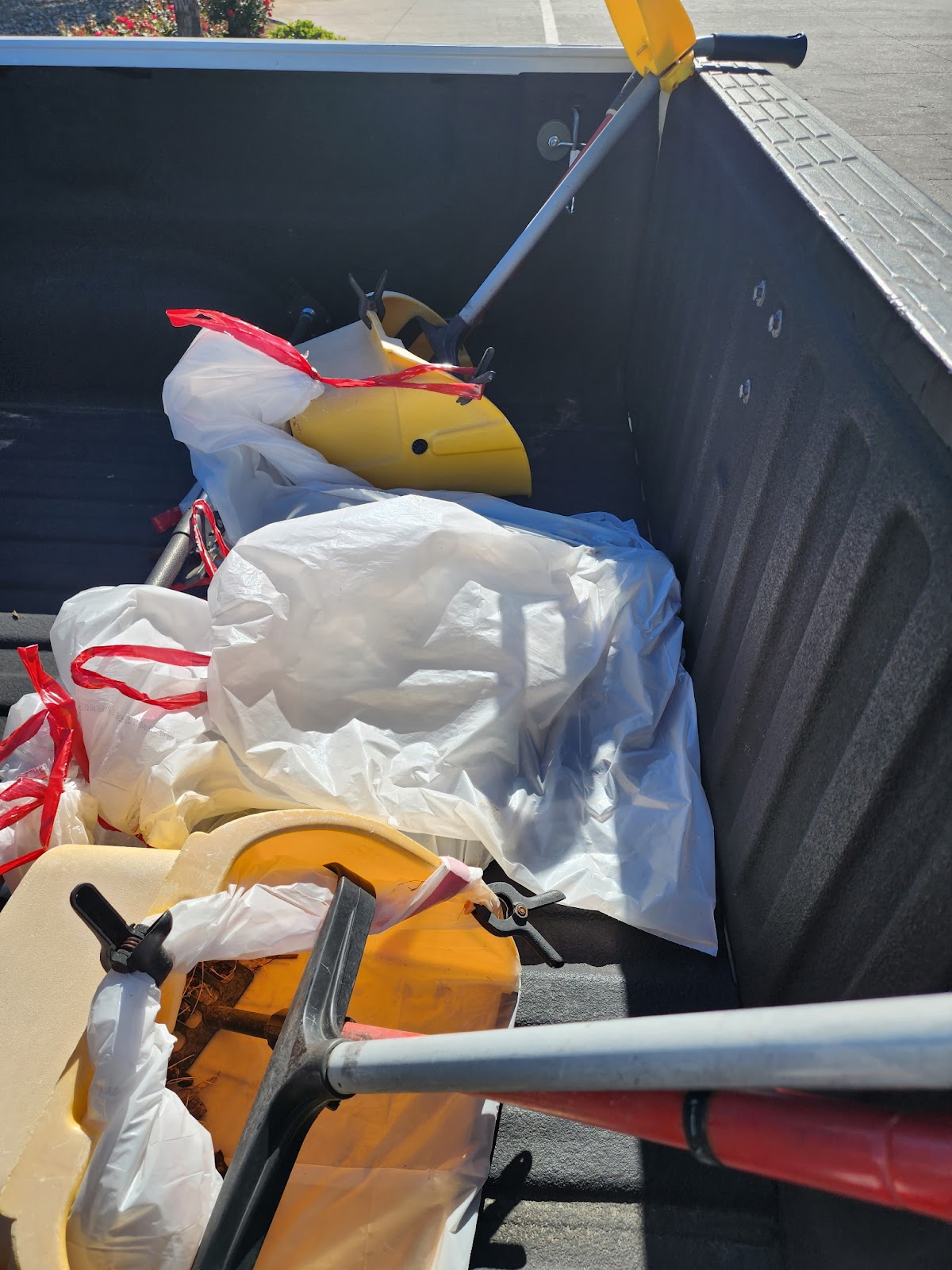 Scoopy Doo Too - Photo 4