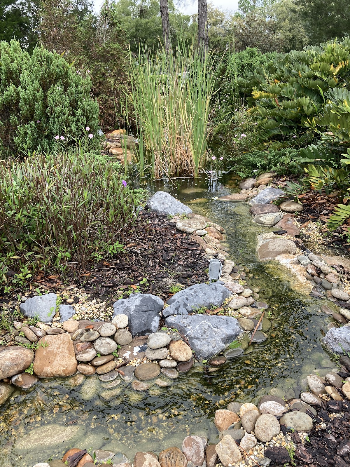 Poop 911 Tampa - Photo 2