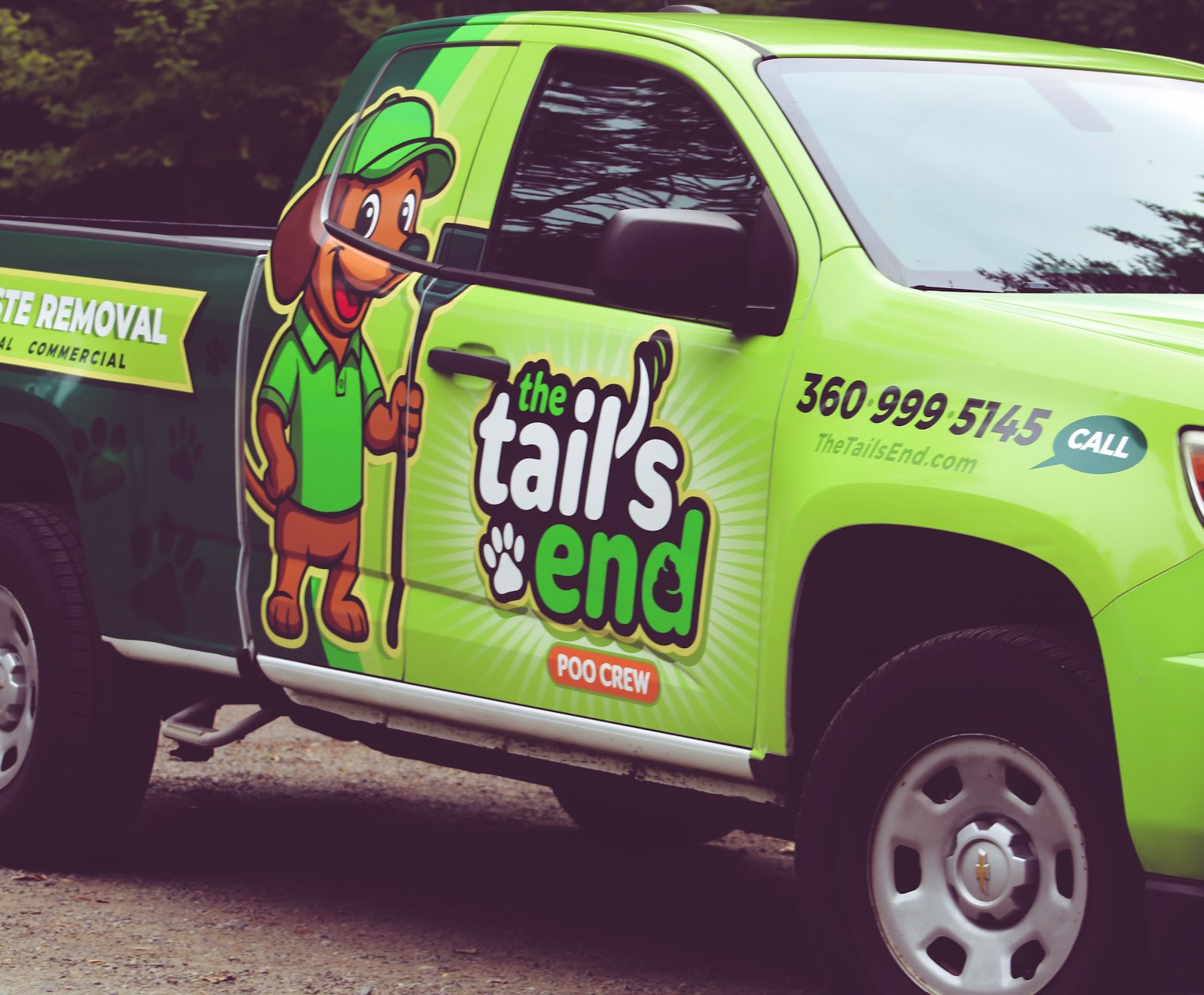 The Tail's End - Photo 2