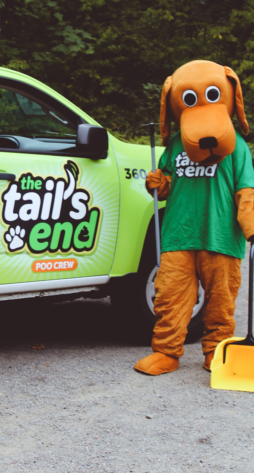 The Tail's End - Photo 4