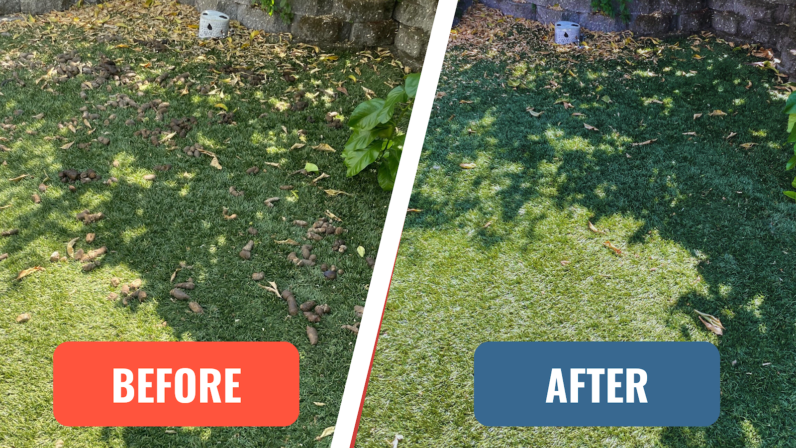 Scoopy Out - Photo 3