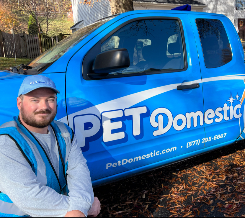 Pet Domestic