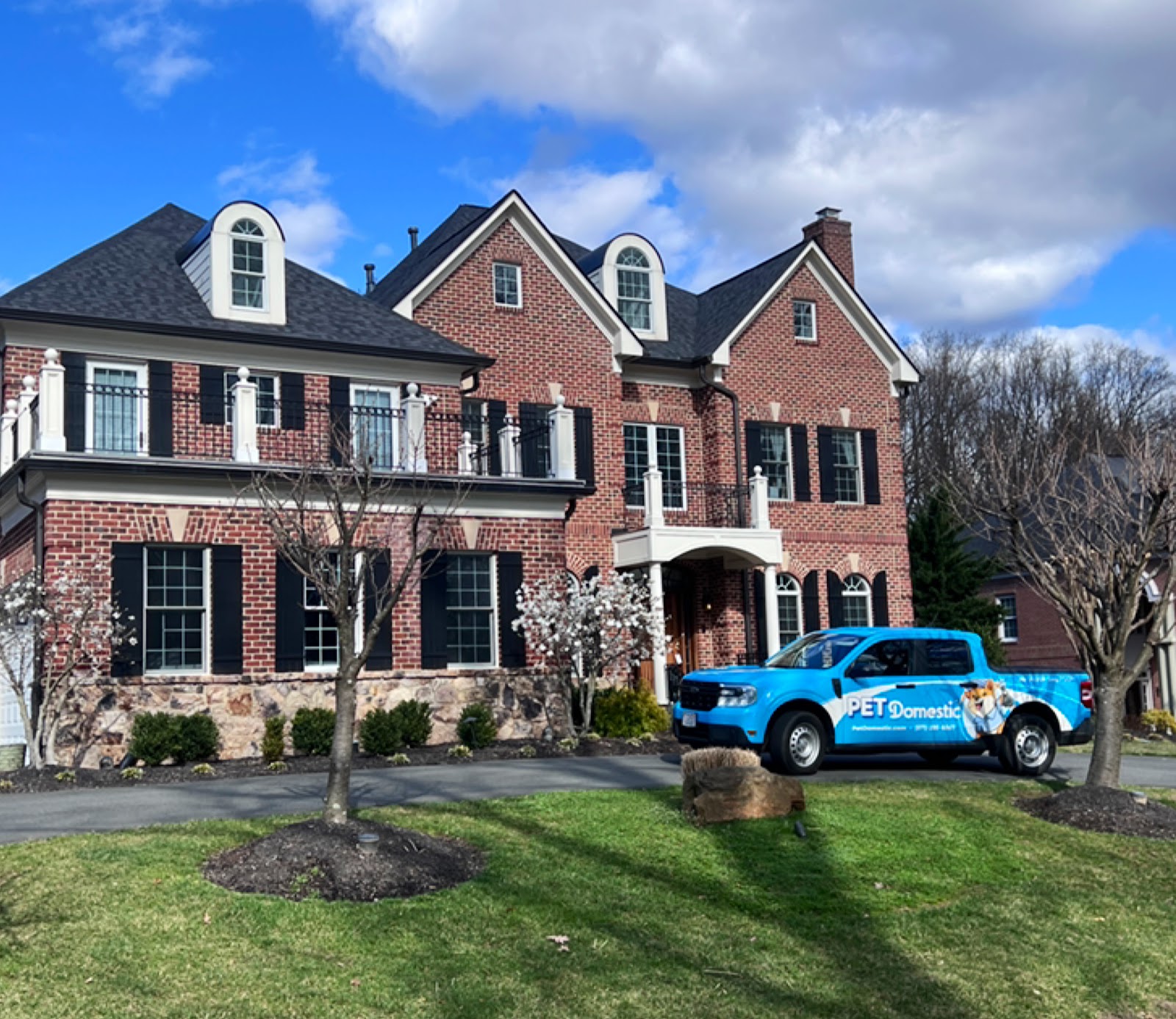 Pet Domestic - Photo 2