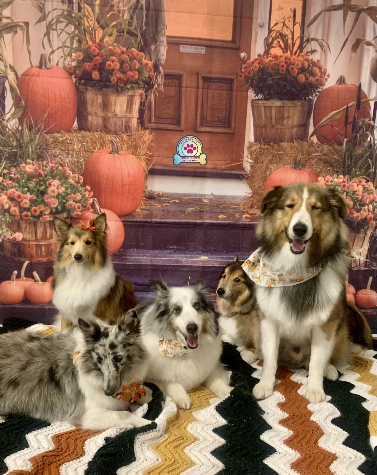 Midwest Elite Services - Photo 2