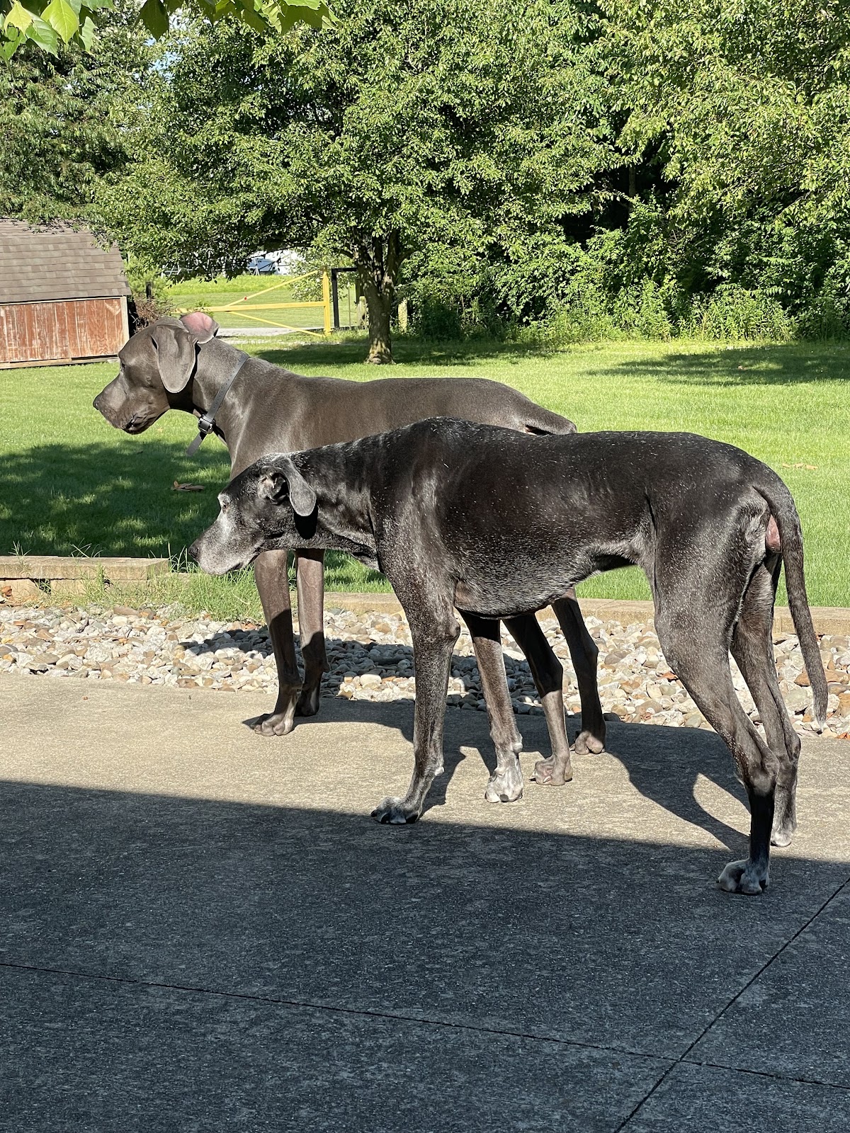 Midwest Elite Services - Photo 4