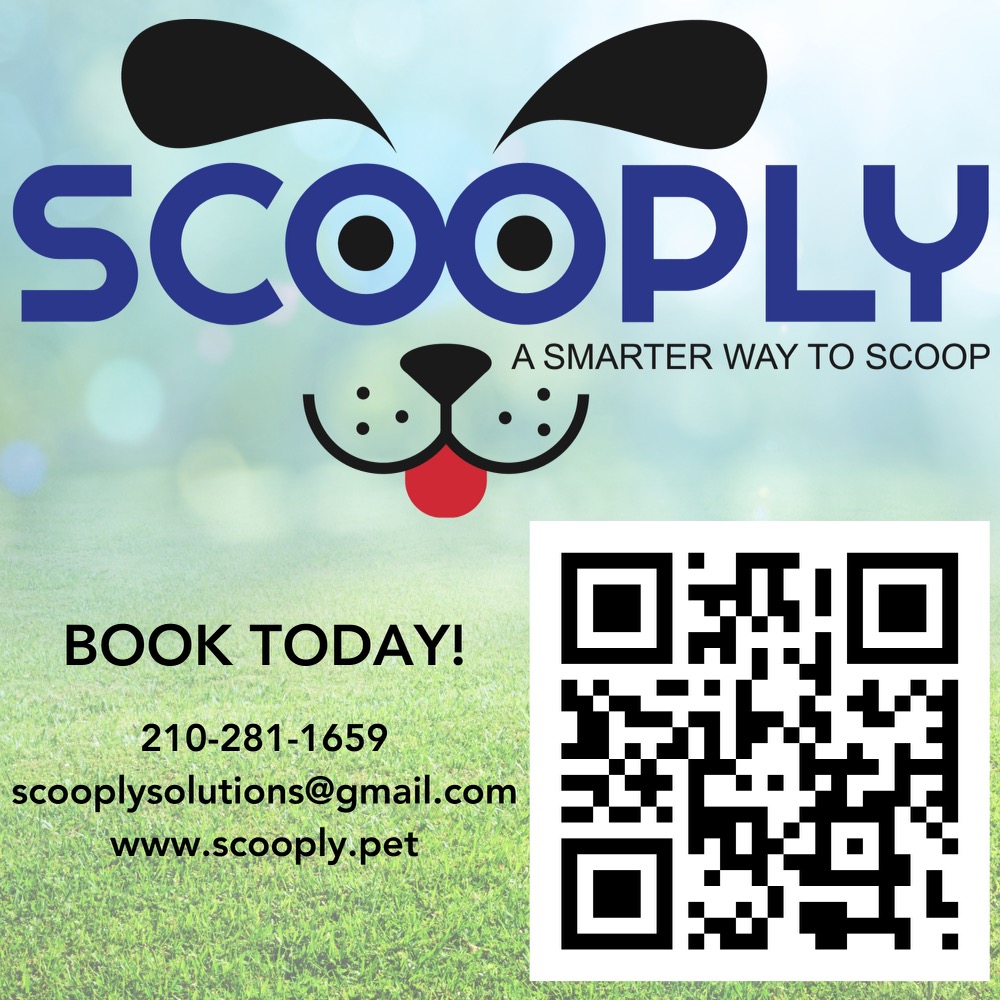 Scooply - Photo 4