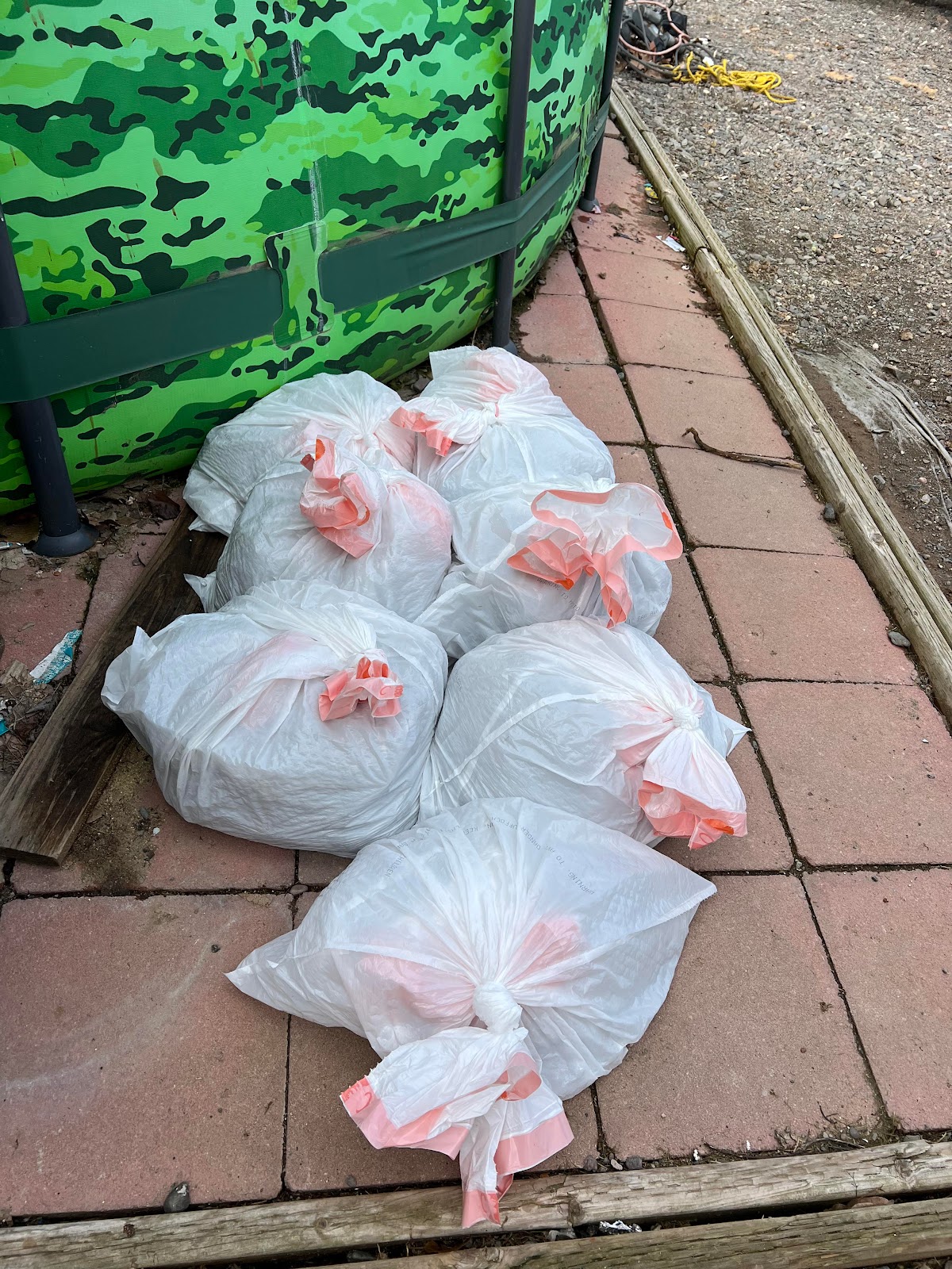 The Lawn Dogs Dog Waste Removal - Photo 2