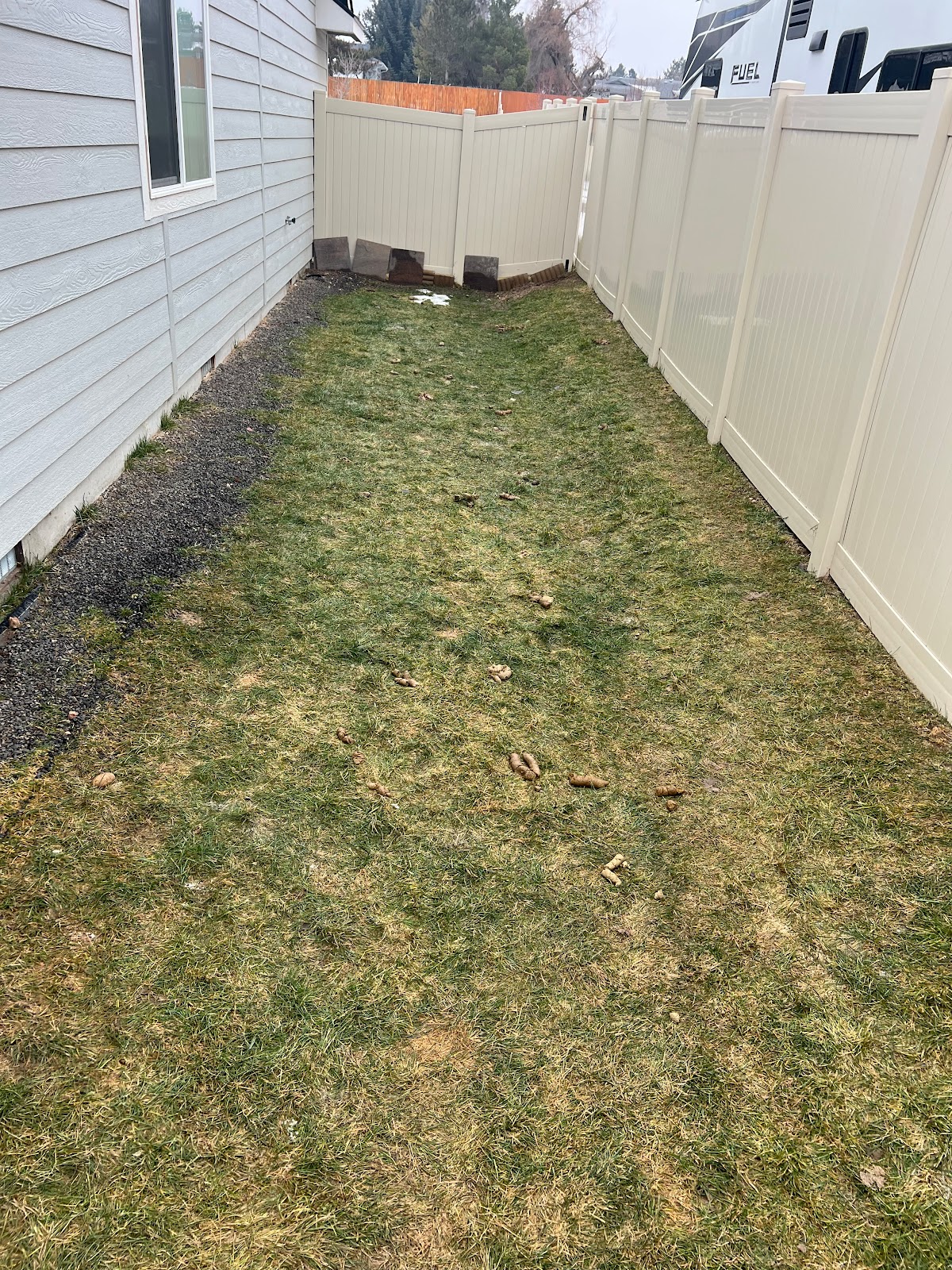 The Lawn Dogs Dog Waste Removal - Photo 3