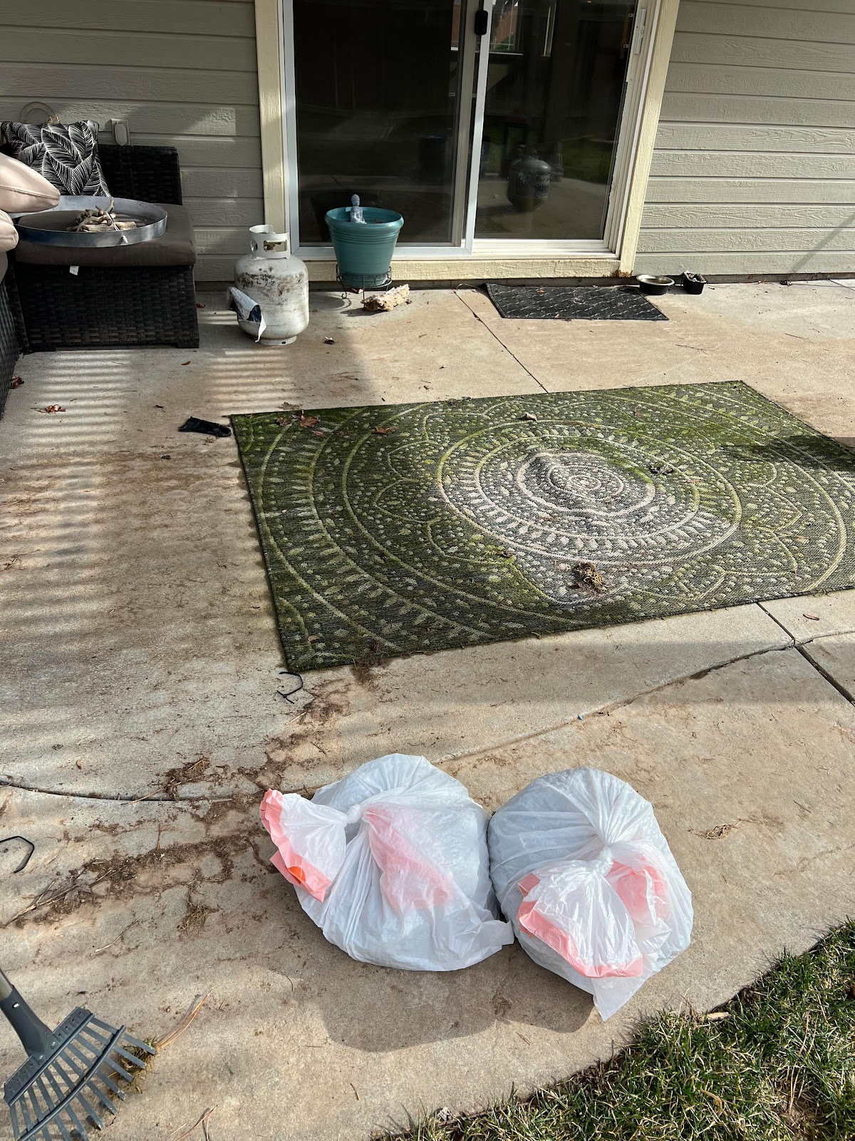 The Lawn Dogs Dog Waste Removal - Photo 4