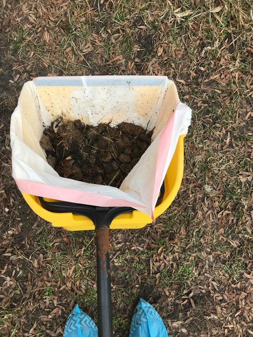 Poops & Scoops - Photo 4