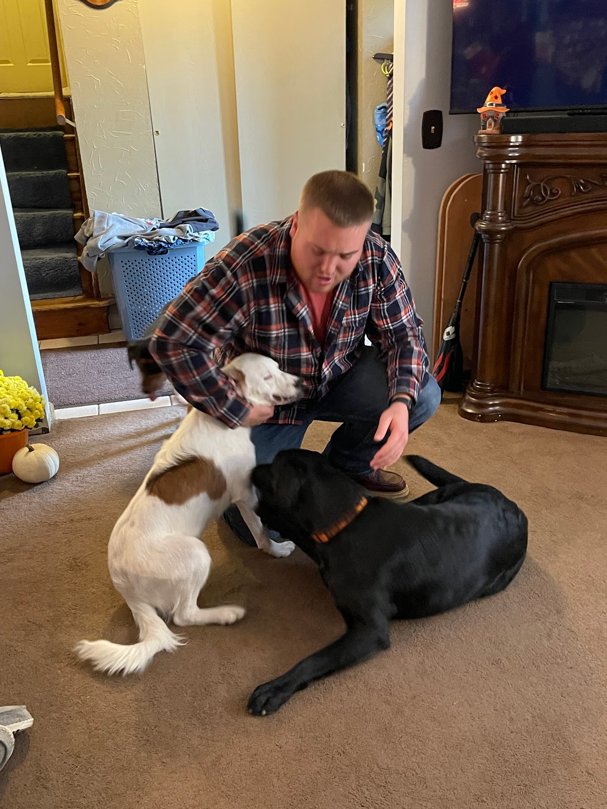 Dog Gone Poop Patrol