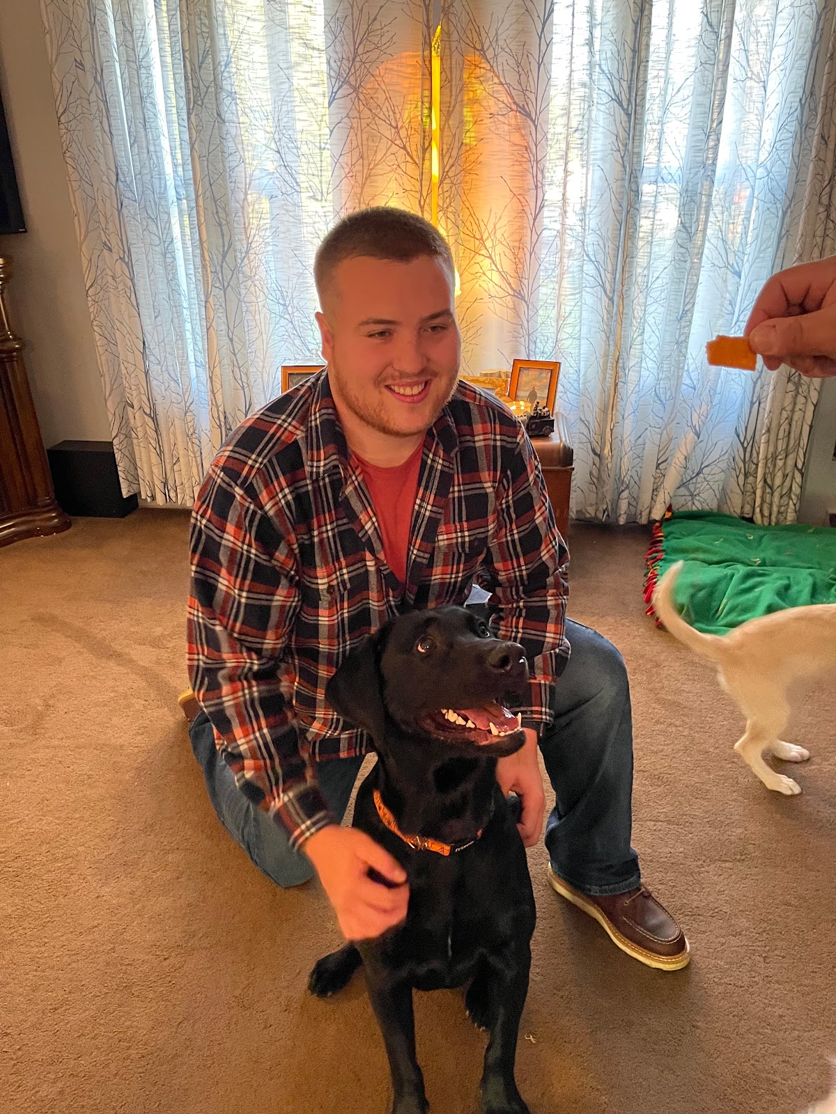 Dog Gone Poop Patrol - Photo 2