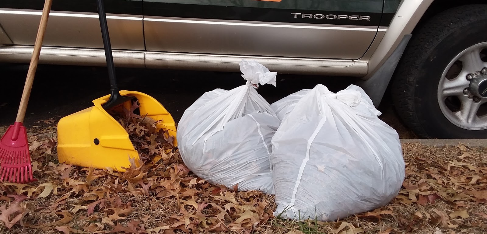 Poop Patrol LLC - Photo 3