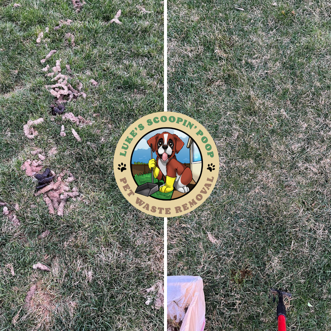 Luke's Scoopin' Poop - Photo 3