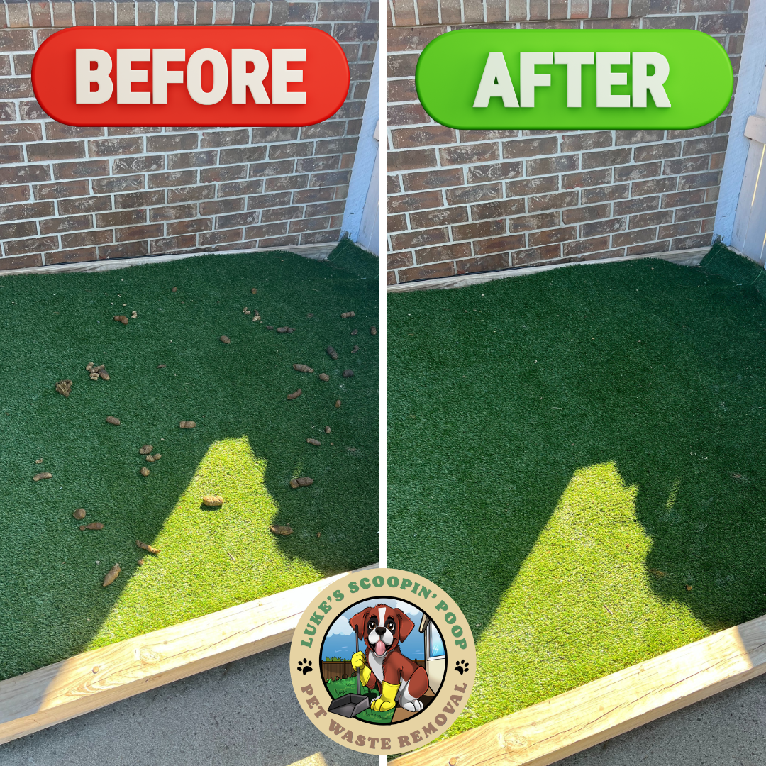 Luke's Scoopin' Poop - Photo 4