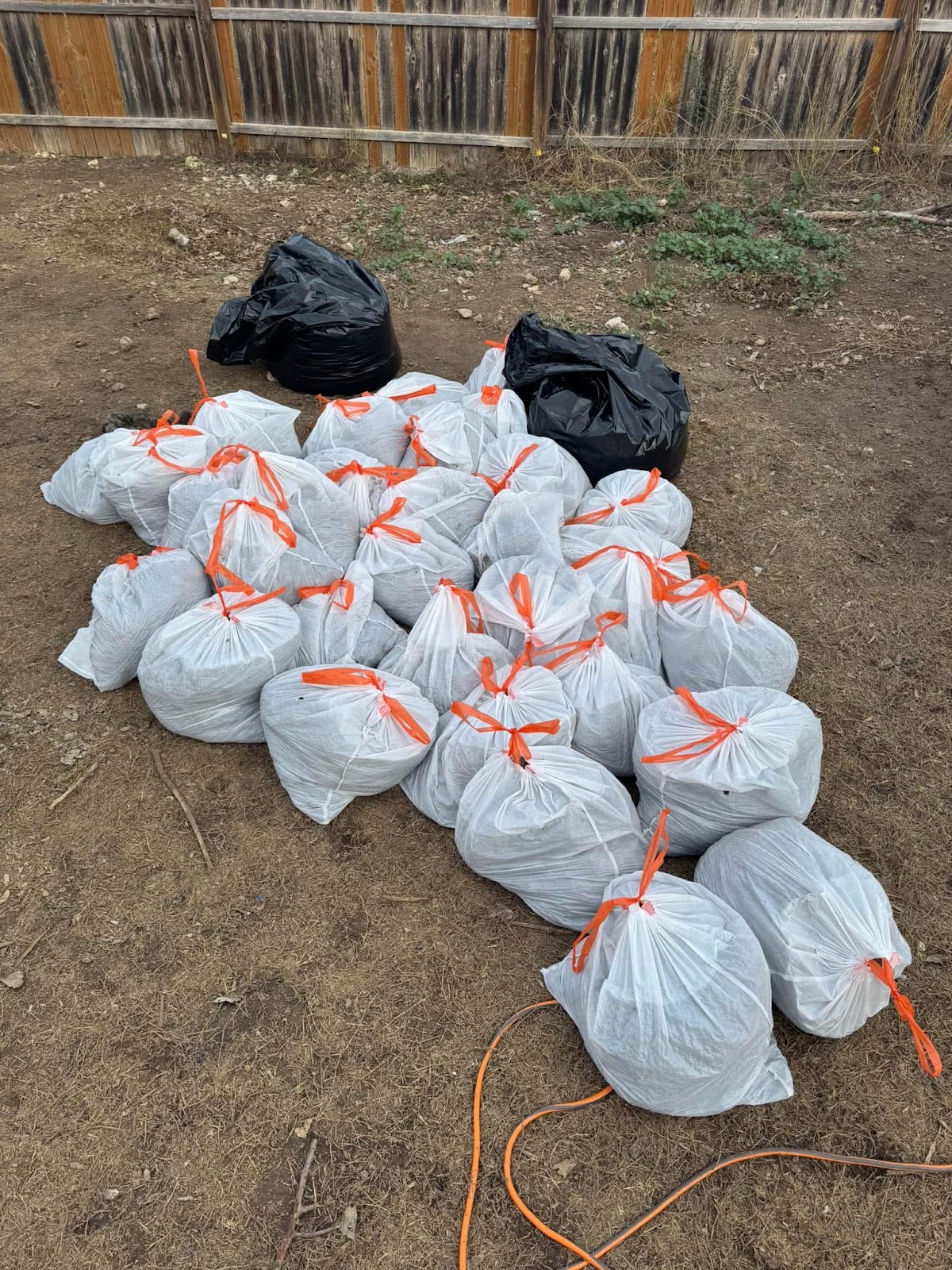 Big Poop Scoop - Photo 2