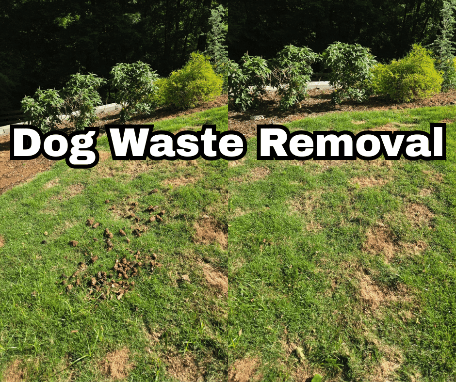 Big Poop Scoop - Photo 4