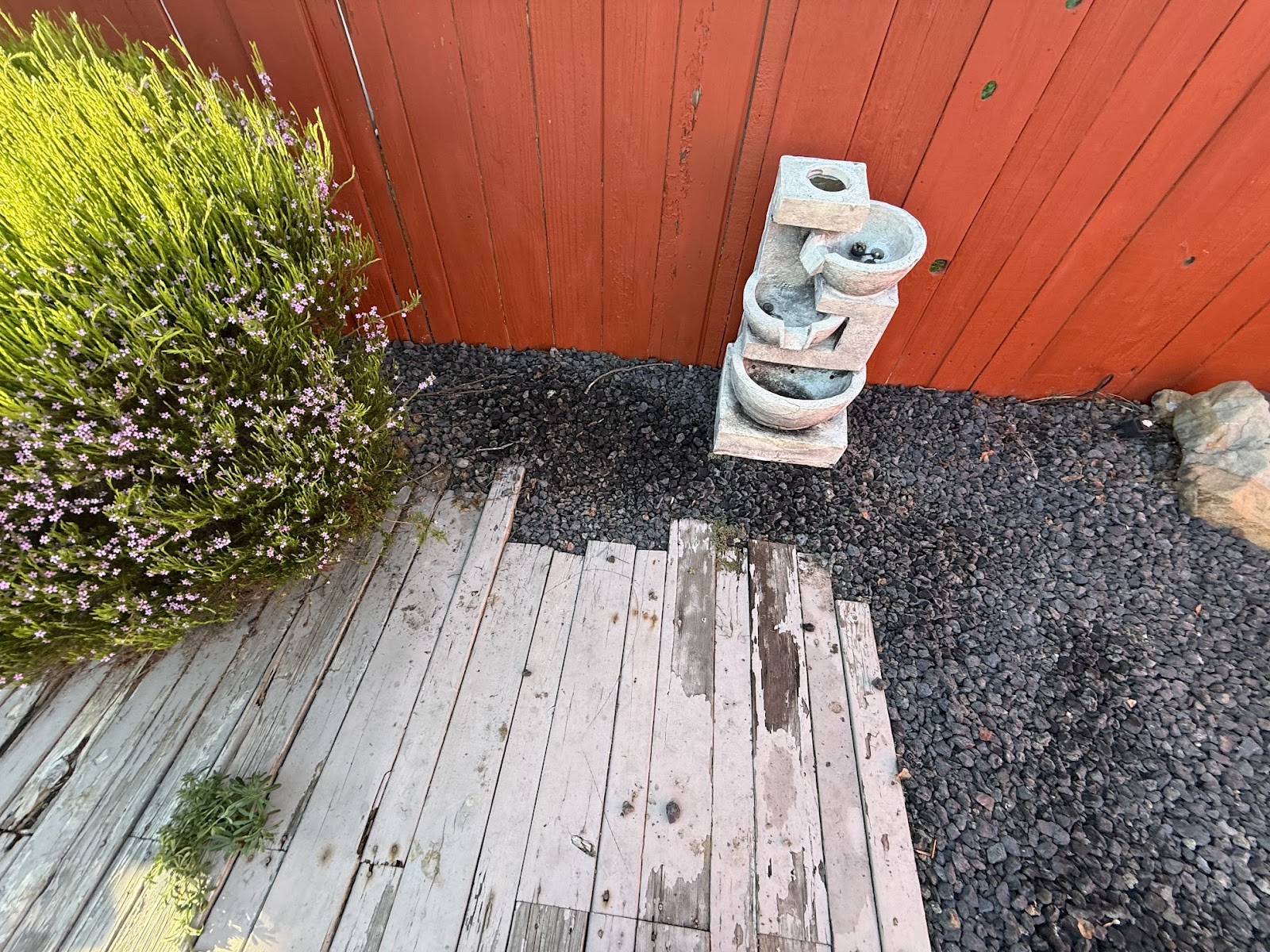 Sure Scoops - Photo 2