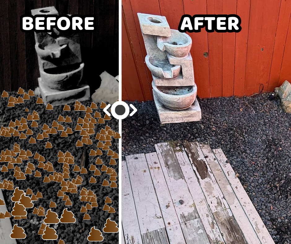 Sure Scoops - Photo 4