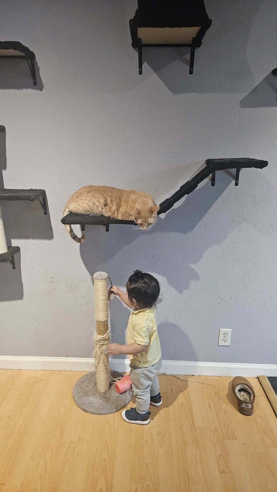 Pet Clean Up Crew - Photo 2